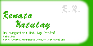 renato matulay business card