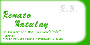 renato matulay business card